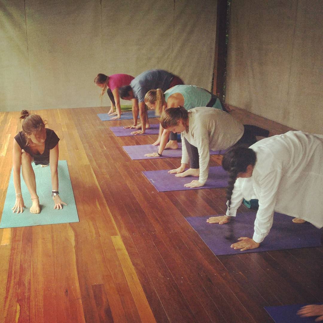 cours de yoga débutant